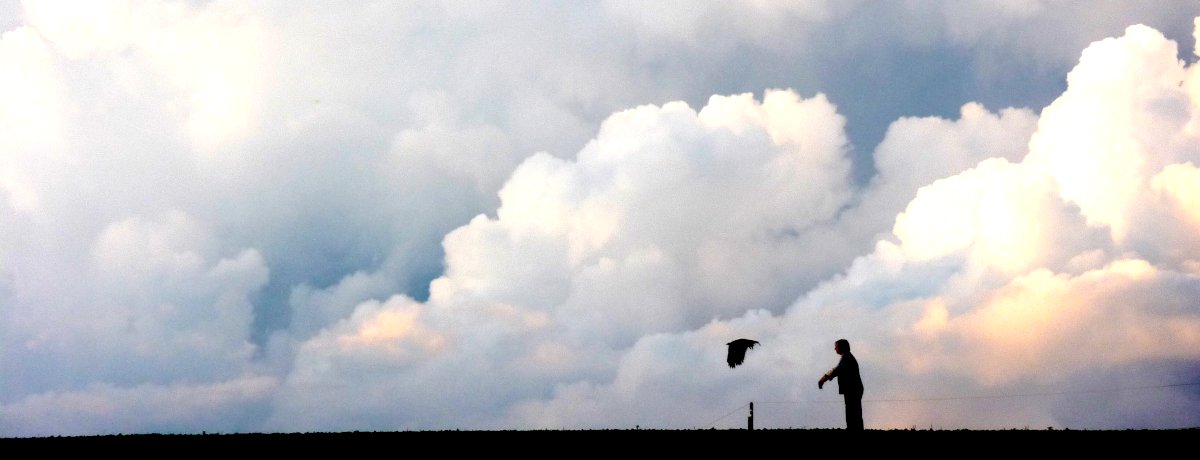 Einfallt - was mir so einfällt